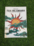 TEJA ING AMBARA