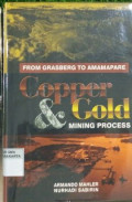 FROM GRASBERG TO AMAMAPARE : COPPER & GOLD MINING PROCESS